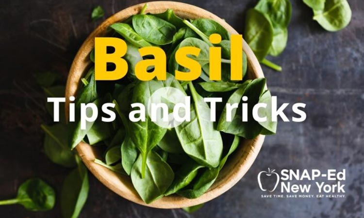Basil_-Tips-and-Tricks-750x450