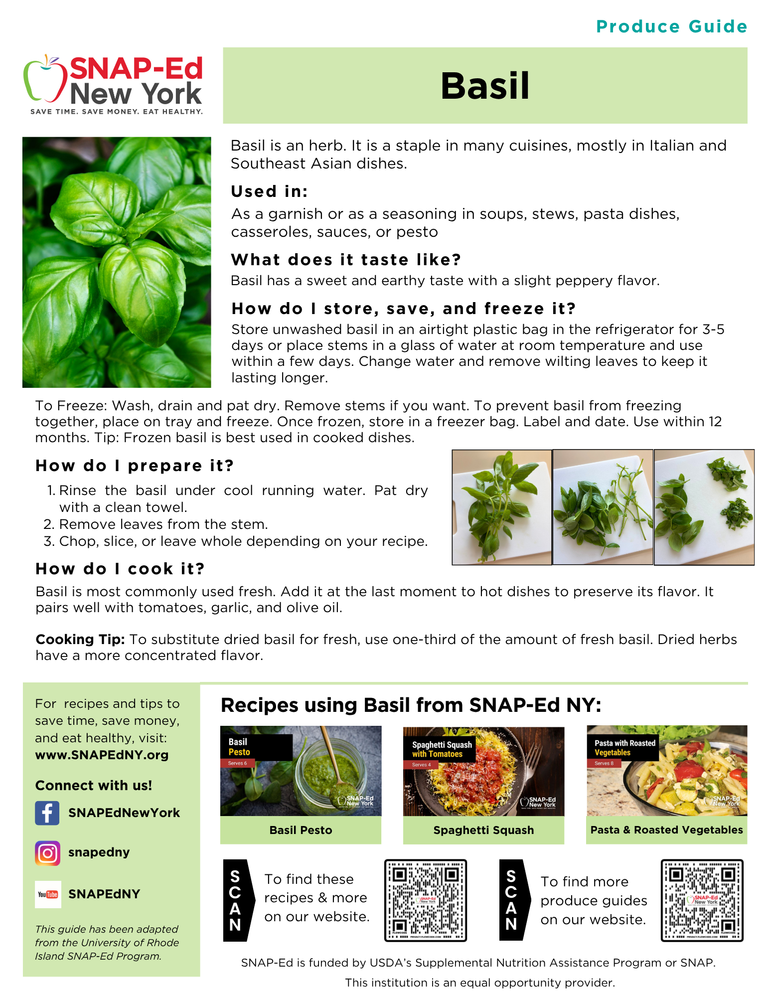 Basil Produce Guide – SNAP-Ed New York