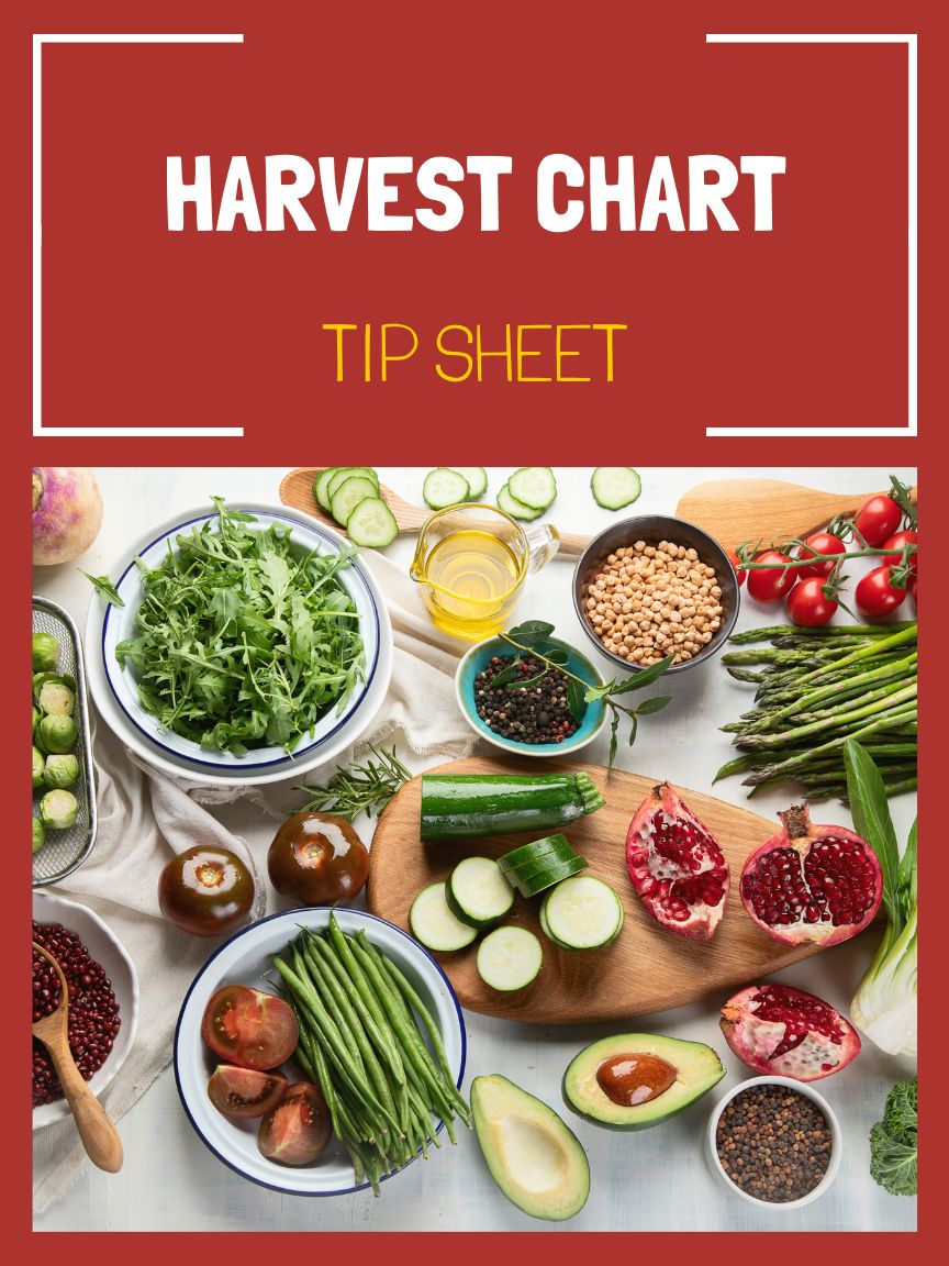 Harvest Chart