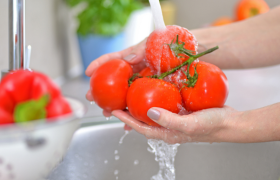 Food Safety